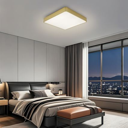 Brilagi - LED plafonjera POOL LED/48W/230V 3000/4500/6000K 50x50 cm zlatna