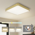 BRILAGI - LED plafonjera POOL SQUARE LED/48W/230V 3000/4000/6000K 50x50 cm zlatna