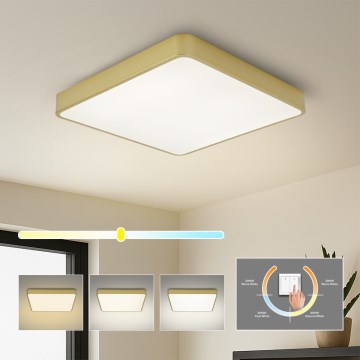 BRILAGI - LED plafonjera POOL SQUARE LED/48W/230V 3000/4000/6000K 50x50 cm zlatna