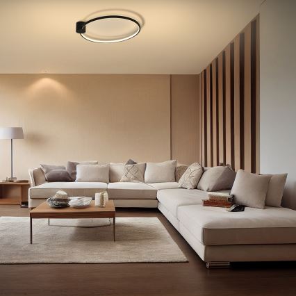 Brilagi - LED plafonsko svetlo RINGO LED/18W/230V prečnik 50 cm