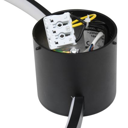 Brilagi - LED plafonsko svetlo RINGO LED/18W/230V prečnik 50 cm
