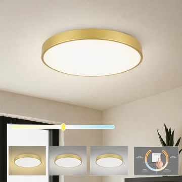 Brilagi - LED plafonska lampa POOL LED/60W/230V 3000/4000/6000K prečnik 60 cm zlatna