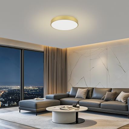 Brilagi - LED plafonska lampa POOL LED/60W/230V 3000/4000/6000K prečnik 60 cm zlatna