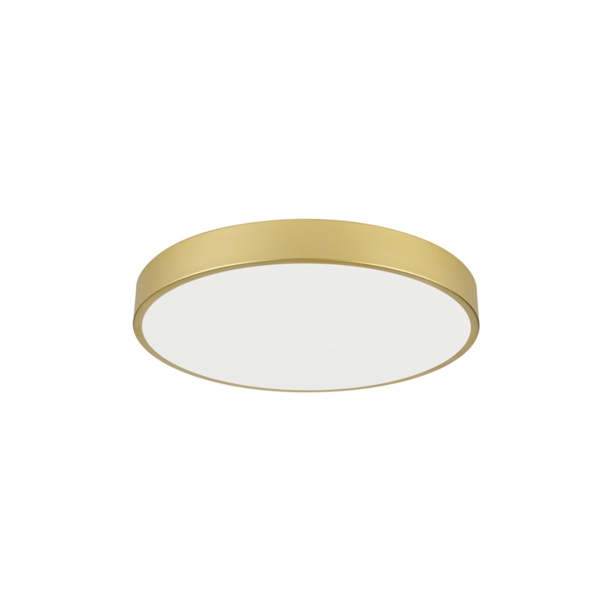 Brilagi - LED plafonska lampa POOL LED/60W/230V 3000/4000/6000K prečnik 60 cm zlatna