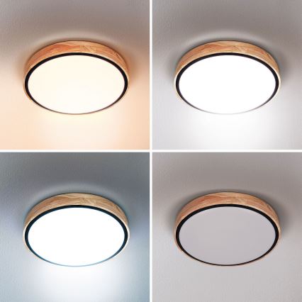 Brilagi - prigušiva LED stropna svetiljka GLORIA LED/48W/230V 3000-6500K hrast prečnik 40 cm + daljinski upravljač