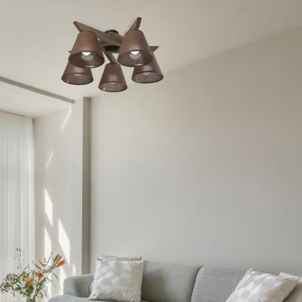 Brilagi - LED Plafonski luster ANTHONY 5xE14/40W/230V hrast/orah/smeđa