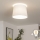 Brilagi - LED plafonski luster CERIA 1xE27/40W/230V, prečnik 30 cm, bela