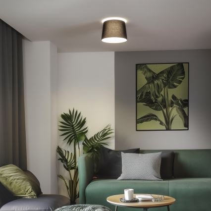 Brilagi - LED plafonski luster CERIA 1xE27/40W/230V Ø 30 cm crna