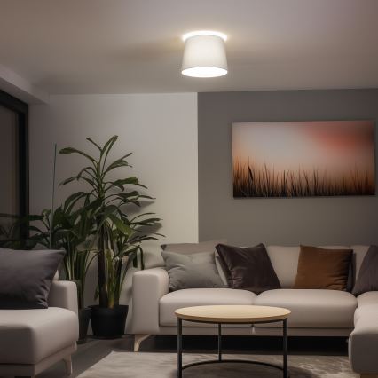 Brilagi - LED plafonski luster CERIA 1xE27/40W/230V Ø 30 cm siva