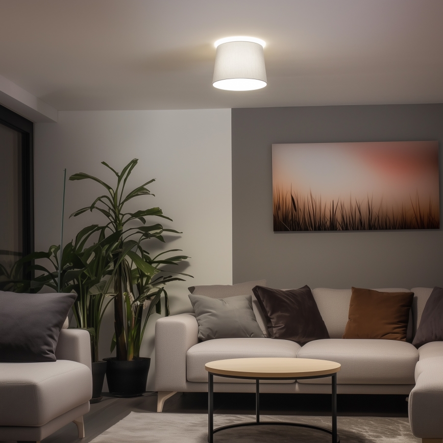 Brilagi - LED plafonski luster CERIA 1xE27/40W/230V Ø 30 cm siva