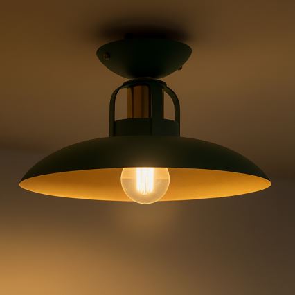 Brilagi - LED Plafonski luster FLAMENGO 1xE27/60W/230V, zelene boje