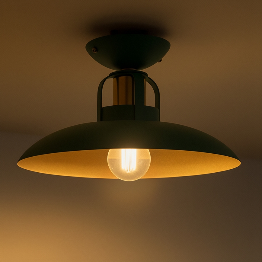 Brilagi - LED Plafonski luster FLAMENGO 1xE27/60W/230V, zelene boje