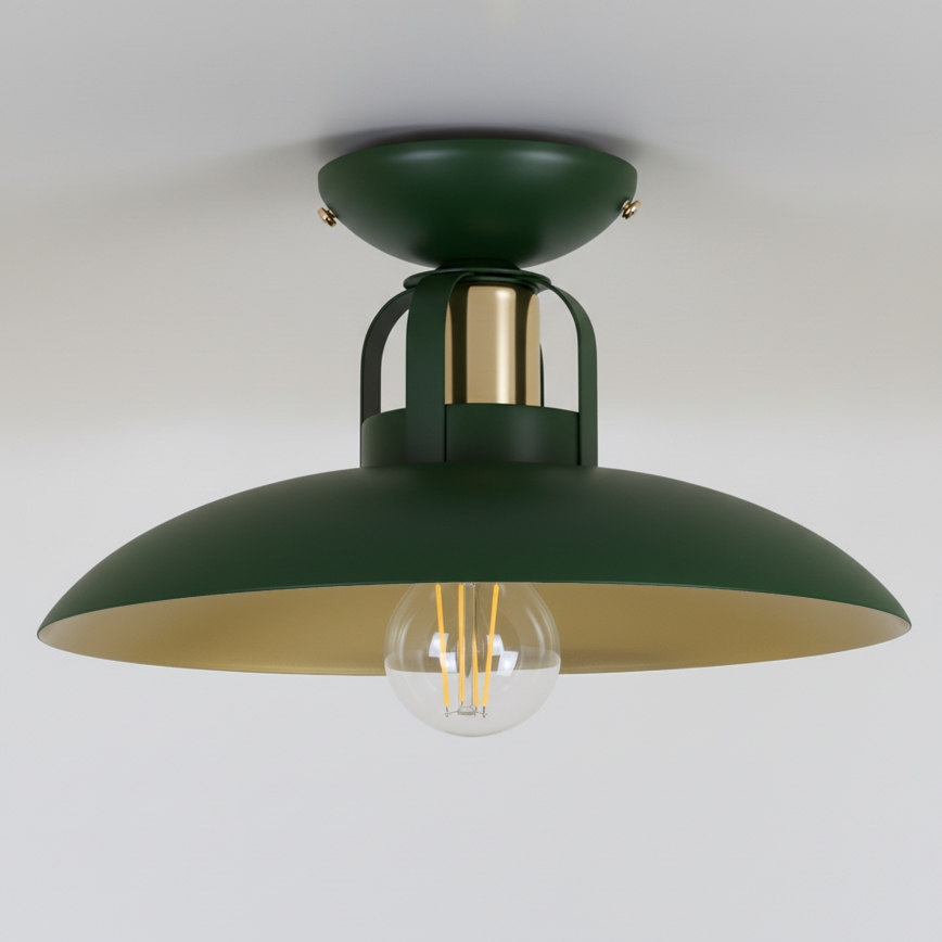 Brilagi - LED Plafonski luster FLAMENGO 1xE27/60W/230V, zelene boje