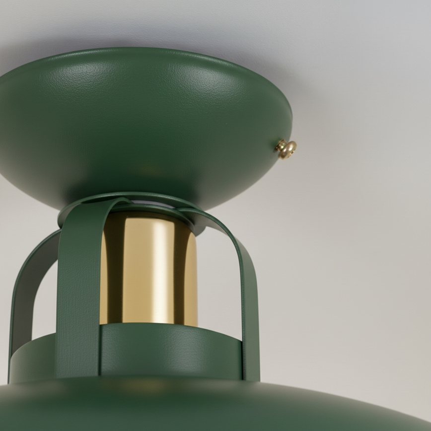 Brilagi - LED Plafonski luster FLAMENGO 1xE27/60W/230V, zelene boje