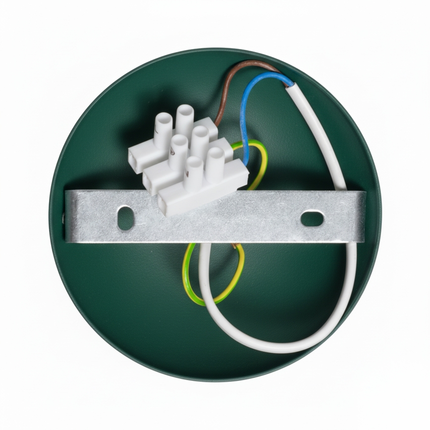 Brilagi - LED Plafonski luster FLAMENGO 1xE27/60W/230V, zelene boje