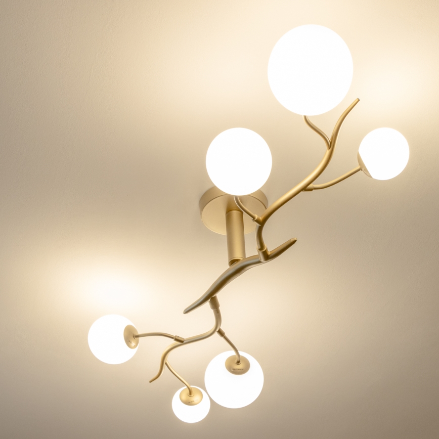 Brilagi - LED plafonski luster MISTEL 6xG9/3W/230V zlatna/bela