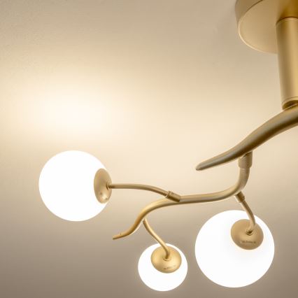 Brilagi - LED plafonski luster MISTEL 6xG9/3W/230V zlatna/bela