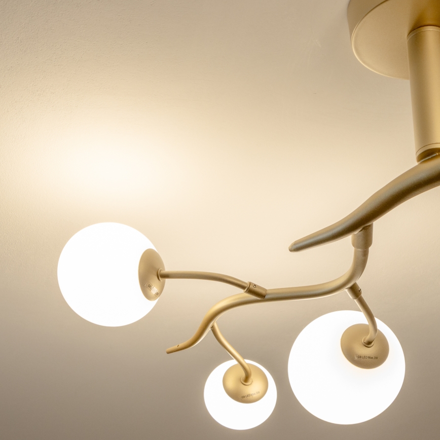 Brilagi - LED plafonski luster MISTEL 6xG9/3W/230V zlatna/bela