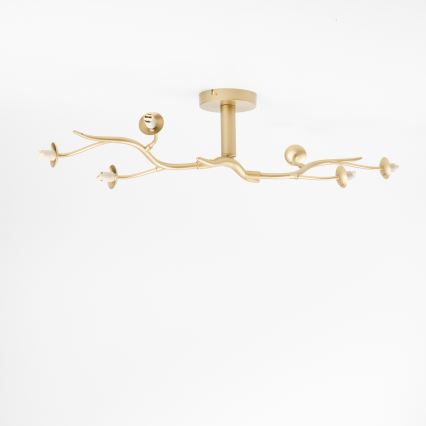 Brilagi - LED plafonski luster MISTEL 6xG9/3W/230V zlatni