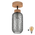 BRILAGI - LED Plafonski luster RETRO GLASS 1xE27/60W/230V pr. 14 cm hrast/dimljena siva
