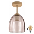 BRILAGI - LED plafonski luster RETRO GLASS 1xE27/60W/230V pr. 17 cm bež/zadimljena bež