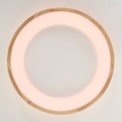 Brilagi - LED plafonsko svetlo FALCON WOOD LED/40W/230V 3000/4000/6000K prečnika 60 cm drvo