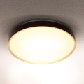 Brilagi - LED plafonsko svetlo CALA LED/24W/230V prečnik 29,5 cm