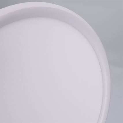 Brilagi - LED plafonsko svetlo CARLOS LED/24W/230V prečnika 40 cm belo