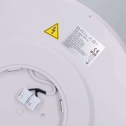Brilagi - LED plafonsko svetlo CARLOS LED/24W/230V prečnika 40 cm belo