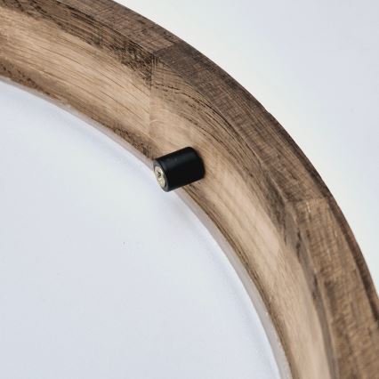 BRILAGI - LED plafonsko svetlo CARVALHO SLIM 2xE27/15W/230V hrast/orah prečnik 37 cm