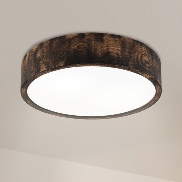 Brilagi - LED plafonsko svetlo CARVALHO SMOKEY LED/36W/230V hrast prečnik 37,5 cm