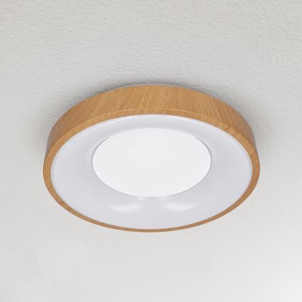 Brilagi - LED plafonsko svetlo DORIA LED/24W/230V prečnik 28,5 cm