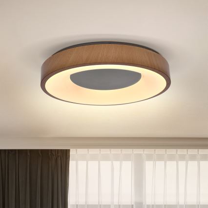 Brilagi - LED plafonsko svetlo DORIA LED/24W/230V prečnik 28,5 cm