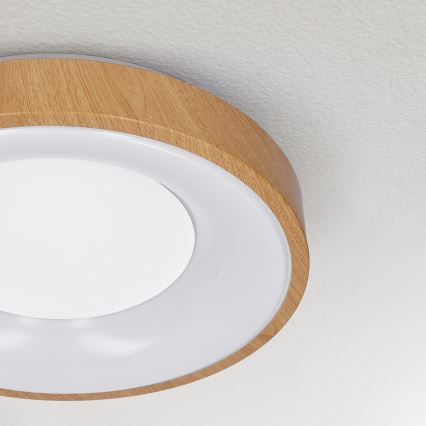 Brilagi - LED plafonsko svetlo DORIA LED/24W/230V prečnik 28,5 cm