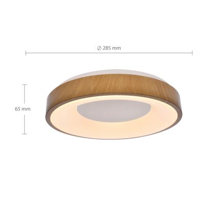 Brilagi - LED plafonsko svetlo DORIA LED/24W/230V prečnik 28,5 cm