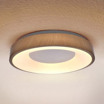 Brilagi - LED plafonsko svetlo DORIA LED/24W/230V prečnik 28,5 cm
