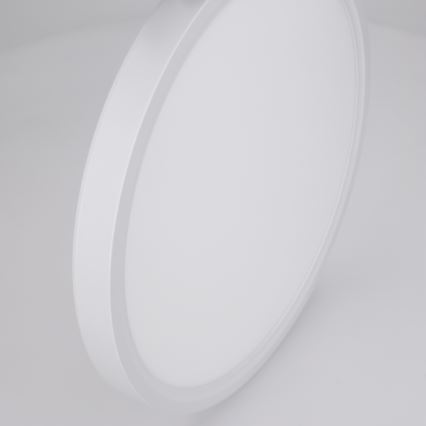 BRILAGI - LED stropno svetlo ESTELA LED/18W/230V prečnik 30 cm, belo
