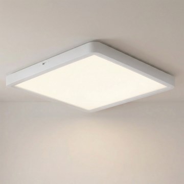 Brilagi - LED plafonsko svetlo ESTELA SQUARE LED/24W/230V 31x31 cm bela
