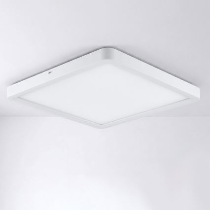 Brilagi - LED plafonsko svetlo ESTELA SQUARE LED/24W/230V 31x31 cm bela