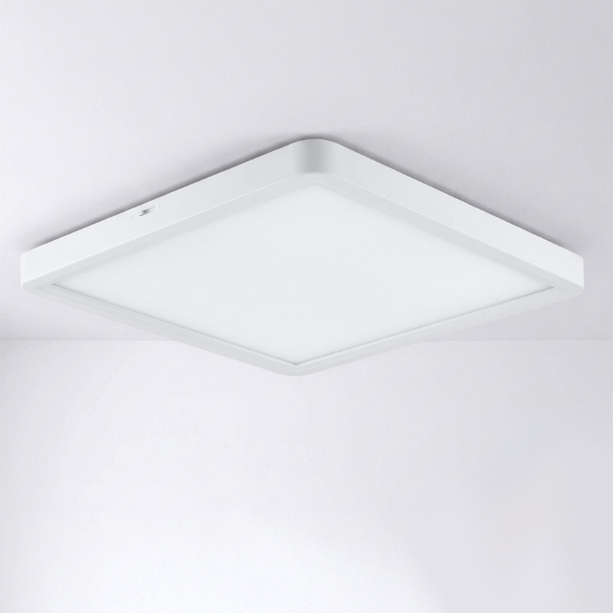 Brilagi - LED plafonsko svetlo ESTELA SQUARE LED/24W/230V 31x31 cm bela