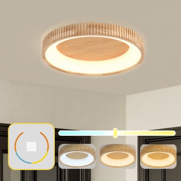 Brilagi - LED plafonsko svetlo FALCON WOOD MODERN LED/40W/230V 3000/4000/6000K prečnik 60 cm drvo