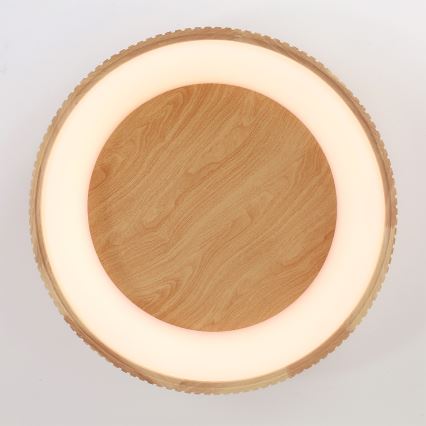 Brilagi - LED plafonsko svetlo FALCON WOOD MODERN LED/40W/230V 3000/4000/6000K prečnik 60 cm drvo