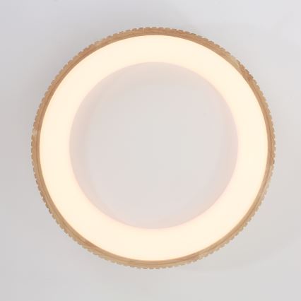 Brilagi - LED stropno svetlo FALCON WOOD MODERN LED/40W/230V 3000/4000/6000K Ø 60 cm drveno