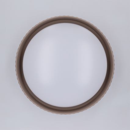 Brilagi - LED plafonsko svetlo LUCIA LED/24W/230V, prečnik 31 cm, braon