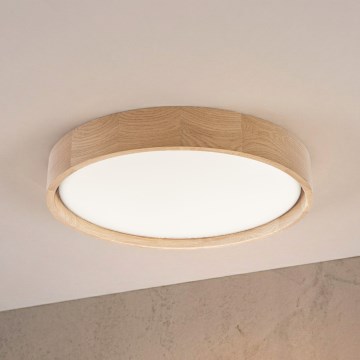 Brilagi - LED plafonsko svetlo MANAROLA PLAIN LED/24W/230V 3000K prečnik 41 cm hrast