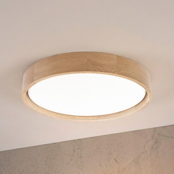 Brilagi - LED plafonsko svetlo MANAROLA PLAIN LED/24W/230V 4000K prečnika 41 cm hrast