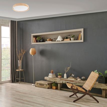 Brilagi - LED prigušiva plafonska svetiljka MANAROLA SMART LED/24W/230V 2700-6500K prečnik 41 cm Wi-Fi + daljinsko upravljanje Tuya