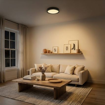 Brilagi - LED plafonsko svetlo MATTEO LED/24W/230V, prečnik 31 cm, crno