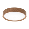 BRILAGI - LED plafonsko svetlo NATURA LED/12W/230V 4000K pr. 26,3 cm