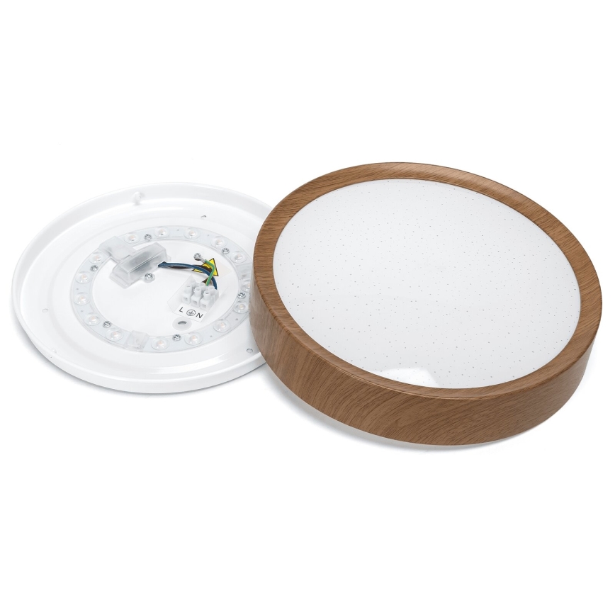 BRILAGI - LED plafonsko svetlo NATURA LED/12W/230V 4000K pr. 26,3 cm
